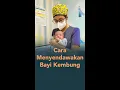 Download Lagu Cara Menyendawakan Bayi Kembung #shorts