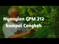 Nyanyian GPM 212 - Kumpul Cengkeh | Lagu Rohani | Musik Ibadah
