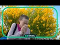 Scientists in UK find more accurate way to measure what causes allergy symptoms