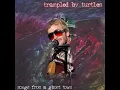 Trampled By Turtles - Whiskey
