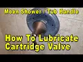 Moen Shower Tub Faucet Handle - How To Lubricate Cartridge Valve