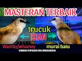 KOMBINASI TRUCUKAN GACOR ISIAN WAMBY DAN TRUCUK ISIAN MURAI BATU