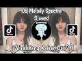 Download Lagu DJ MELODY SPECTRE SLOWED B̲A̲M̲B̲O̲ ̲̲E̲S̲T̲E̲S̲T̲O̲D̲ VIRAL TIK TOK TERBARU 2023 YANG KALIAN CARI