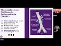 HCGTV Webinar Snippet - Thoracoabdominal Multibranch Endoprosthesis TAMBE