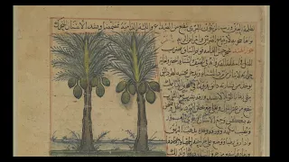 النباتات وعجائبها عجائب المخلوقات وغرائب الموجودات للقزويني كتاب مسموع ج 6 