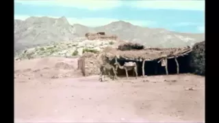 فلكلور شعبي منقوش من تهامة العرضيات  كلمات واداء عبد الله الرزقي دندنها