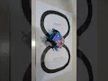 Lagu mBOT maze sensor