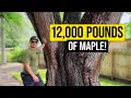 Download Lagu $1 per pound 
