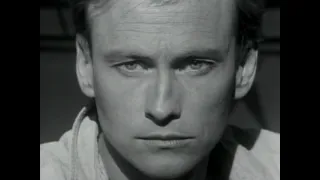 Mr Mister Broken Wings Official Video 