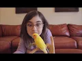 Download Lagu Twinkie the Talking Lovebird