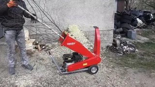                  دندنها