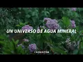 Juan Luis Guerra - Bachata Rosa (LETRA)