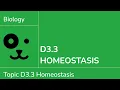 D3 3 Homeostasis IB Biology