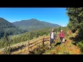 Download Lagu Het echte bergleven 🏔️ Paddenstoelen plukken, hout hakken en Karpatische borsjt koken 🍄🪵🍲