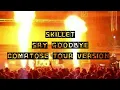 Download Lagu Skillet - Say Goodbye (if it was played on the Comatose Tour, Leg 2)