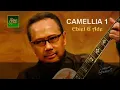 Download Lagu Camellia 1 - 4 __ Ebiet G. Ade