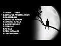 Download Lagu FULL ALBUM LAGU JAWA VIRAL TIKTOK || TRESNO LIYANE (SPEEDUP VERSION)