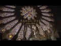 Lagu Agnus Dei (Official cover by Megan Tibbits)