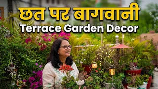 Terrace Garden Decor 🌿 पौधों से छत को बनाएं खूबसूरत | Terrace Garden Ideas in Hindi