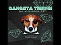DJ TRUSH - Gangsta trippin (Deluxe Version)