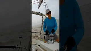 2024 TASS Fiesta Race #shorts #water #sailing #racing #texas #boat #wind #retirement