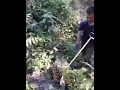 Download Lagu Andra, tangisan anak rantau gak bisa mudik..