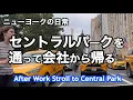 Download Lagu 何気ない日常、ただ会社帰りにセントラルパークまで歩く動画です💕