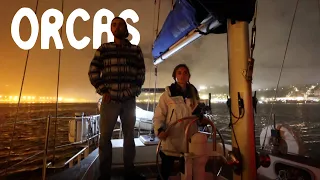 Dodging ORCAS down the PORTUGESE COAST No. 38