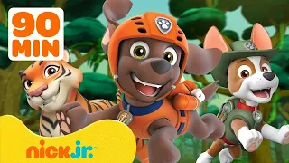 دوريات المخلاب إنقاذات الحيوانات الصغيرة من PAW Patrol مع زوما وتراكر 7 90 دقيقة Nick Jr  دوريات المخلاب إنقاذات الحيوانات الصغيرة من PAW Patrol مع زوما وتراكر 7 90 دقيقة Nick Jr