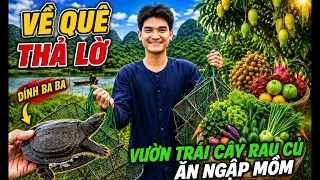 Về Quê Đặt Lờ Bất Ngờ Dính Ba Ba ,Trê Đồng và Ăn Ngập Mồm Vườn Trái Câu Rau Củ Của Bố Mẹ