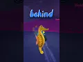 Download Lagu Best Places to Grind Money in ROBLOX FISCH #roblox #robloxfisch #fisch #fishinggame
