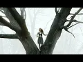 Rooted - Jamie McDonald & the Chosen