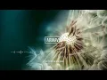 Roo Panes - Lullaby Love