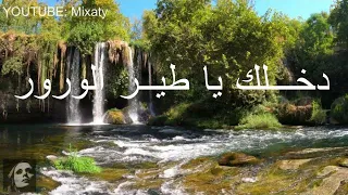 فيروزيات الصباح دخلك يا طير الورور Fayruziat Dakhlak Ya Tayr El Wer War 