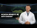 POTENT ANTIOXIDANT - Benefits of Acacia Gum Arabic