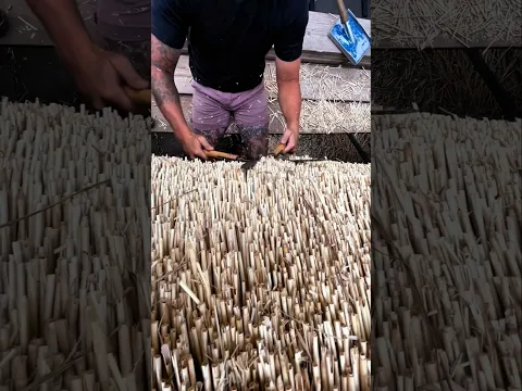 سقف القصب المعجزة!🛖🌧️