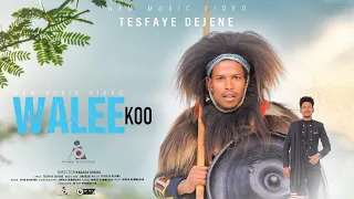 Tesfayee Dejene WALEE KOO New Ethiopian Afaan Oromo Music Video 2024 Official Video  Tesfayee Dejene WALEE KOO New Ethiopian Afaan Oromo Music Video 2024 Official Video