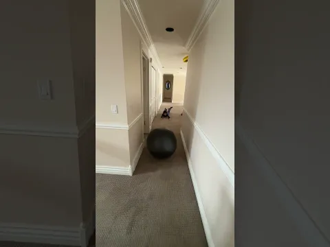 Hallway ball kick ￼