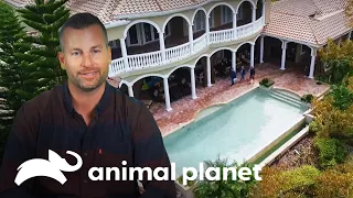 Lucas Construye una Piscina con Casa del Árbol y Jacuzzi | Piscinas Increíbles | Animal Planet