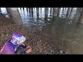 Download Lagu The sea water recedes, the fish gather here.!!