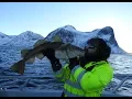 Download Lagu Episode #4 - Hamn I Senja, Norway.