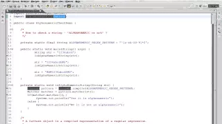JAVA HOW TO DETERMINE IF A STRING IS ALPHANUMERIC DEMO