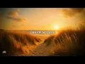 Surf Curse - Disco (lyrics)