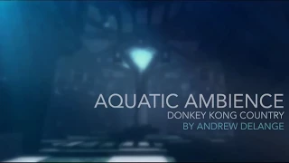 DKC Aquatic Ambience Reimagined 2015 Orchestal Version Andrew De Lange 