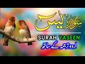 Download Lagu Yaseen | Surah Yaseen With Urdu Translation | Surah Yaseen Recitation |  Episode - 0046