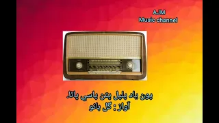 pawan yaad palpal bhittun pasy gul bano poet murtaza dadahi radio song