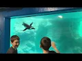 Mystic Aquarium July 2026