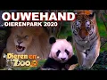 Download Lagu Dagje Ouwehand Dierenpark 2020