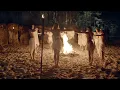 Download Lagu FAUN - Walpurgisnacht (Official Video)
