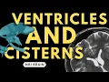 Ventricles and Cisterns of the Brain Radiology anatomy part 1 prep MRI brain
